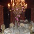 DSC07912.JPG